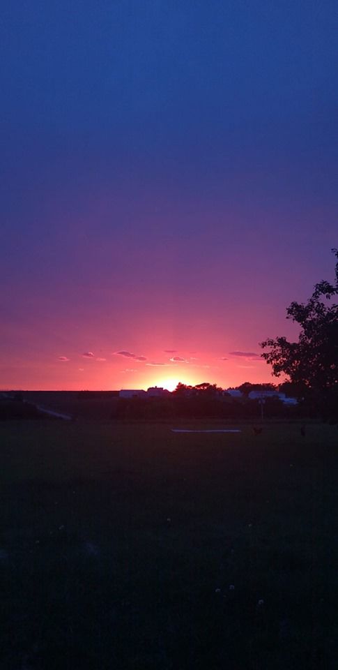 Near DeWitt.jpg